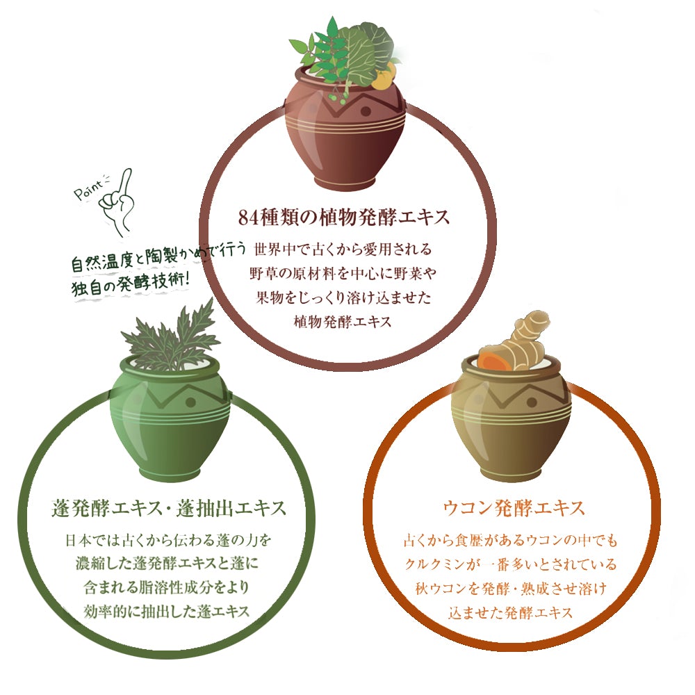 濃蓬(こいよもぎ)